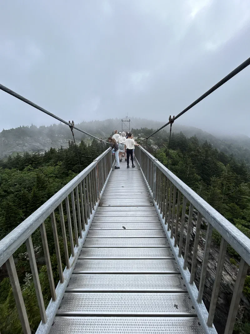Above the Pine Trees